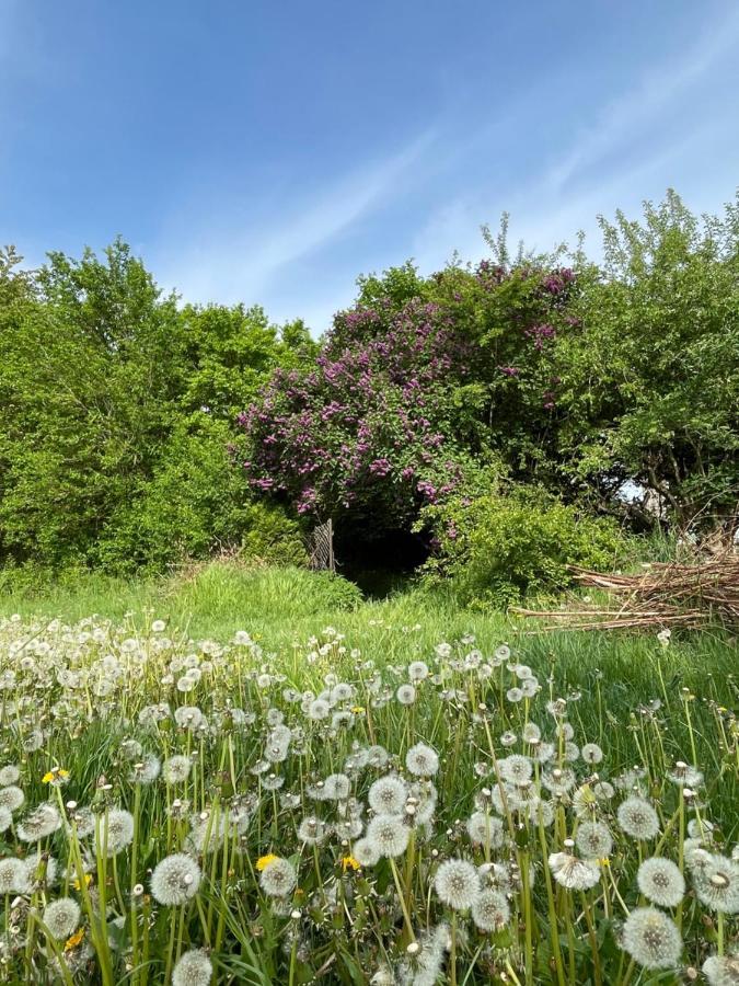 "Mts-Haus Zettemin" - 2 Familienfreundliche Ferienwohnungen In Mecklenburg Exteriér fotografie