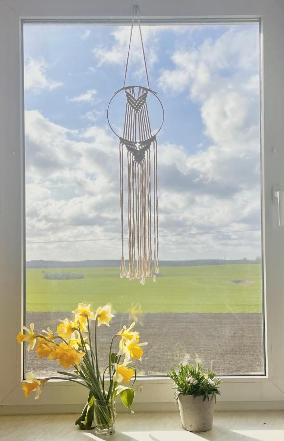 "Mts-Haus Zettemin" - 2 Familienfreundliche Ferienwohnungen In Mecklenburg Exteriér fotografie