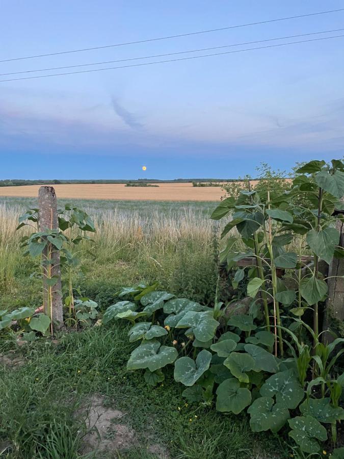 "Mts-Haus Zettemin" - 2 Familienfreundliche Ferienwohnungen In Mecklenburg Exteriér fotografie