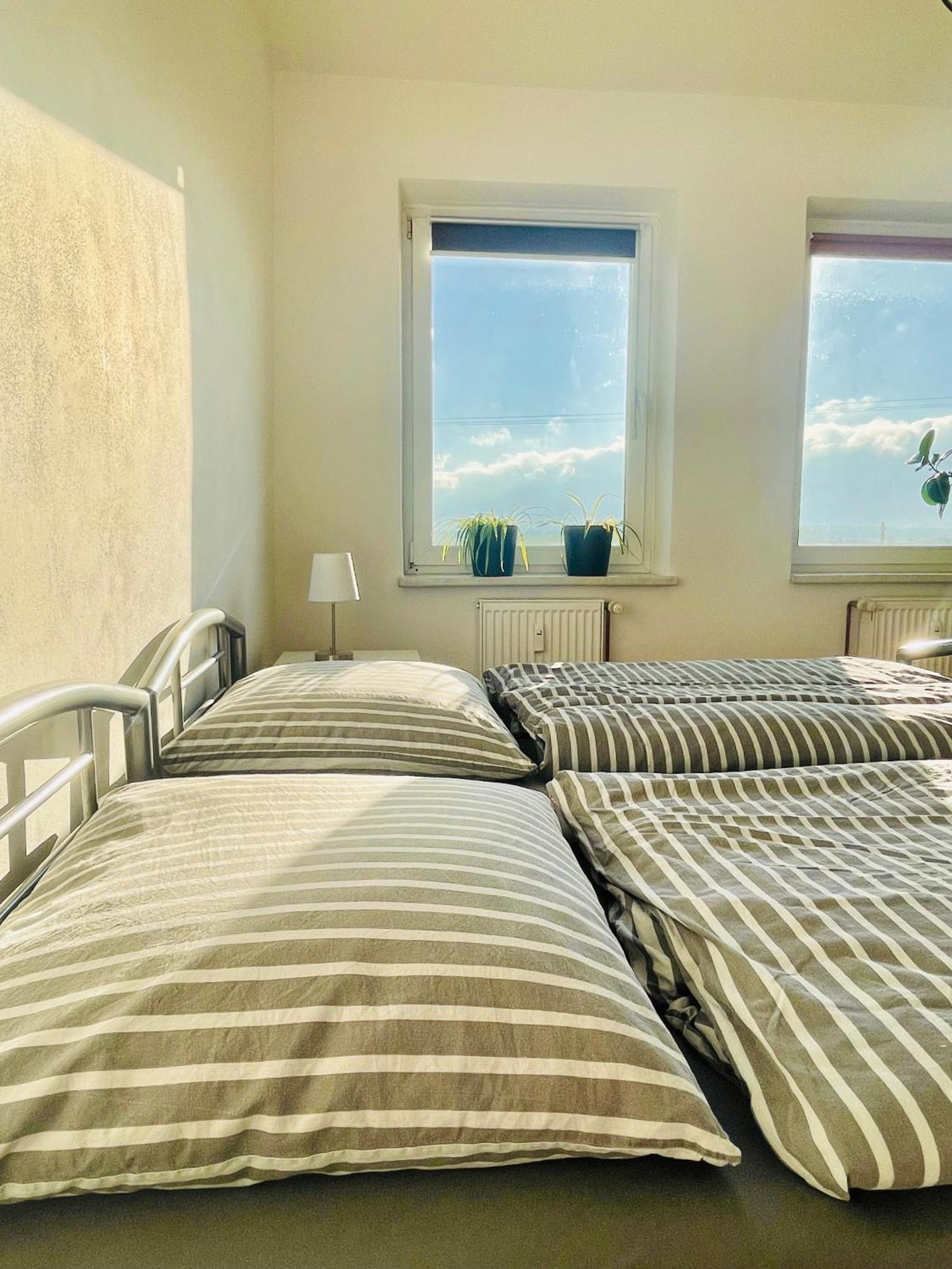 "Mts-Haus Zettemin" - 2 Familienfreundliche Ferienwohnungen In Mecklenburg Exteriér fotografie